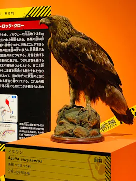 特別展「超危険生物展　科学で挑む生き物の本気」に投稿された画像（2026/5/2）