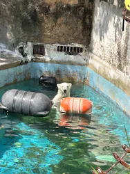 天王寺動物園に投稿された画像（2026/5/2）