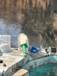 天王寺動物園に投稿された画像（2026/5/2）