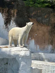 天王寺動物園に投稿された画像（2026/5/2）