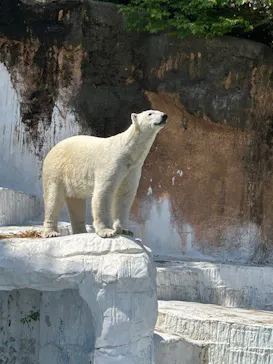 天王寺動物園に投稿された画像（2026/5/2）