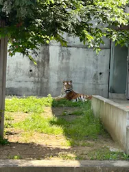 天王寺動物園に投稿された画像（2026/5/2）