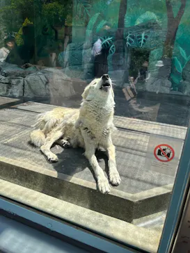天王寺動物園に投稿された画像（2026/5/2）