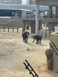 天王寺動物園に投稿された画像（2026/5/2）