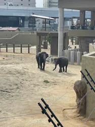 天王寺動物園に投稿された画像（2026/5/2）