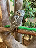 Moff animal cafe イオンモール幕張新都心店に投稿された画像（2026/5/2）