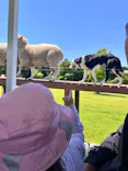 マザー牧場に投稿された画像（2026/5/2）