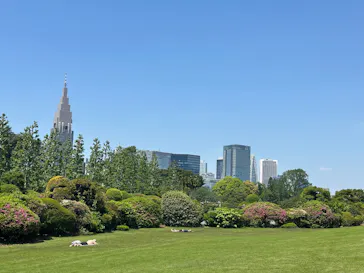 新宿御苑に投稿された画像（2026/5/2）