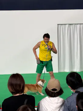 みんな大好き！！ペット王国に投稿された画像（2026/5/2）