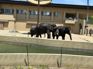 天王寺動物園に投稿された画像（2026/5/2）
