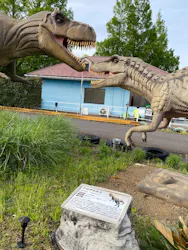伊豆ぐらんぱる公園に投稿された画像（2026/5/2）