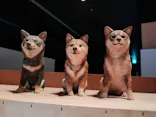 はしもとみお木彫展 いきものたちとの旅（氷見市芸術文化館）に投稿された画像（2026/5/2）