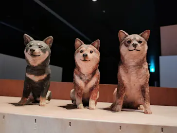 はしもとみお木彫展 いきものたちとの旅（氷見市芸術文化館）に投稿された画像（2026/5/2）