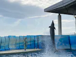 新江ノ島水族館に投稿された画像（2026/5/2）