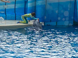 新江ノ島水族館に投稿された画像（2026/5/2）