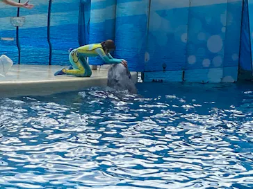 新江ノ島水族館に投稿された画像（2026/5/2）