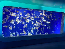 新江ノ島水族館に投稿された画像（2026/5/2）