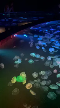 すみだ水族館に投稿された画像（2026/5/2）