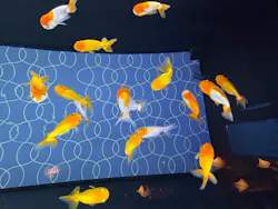 すみだ水族館に投稿された画像（2026/5/2）