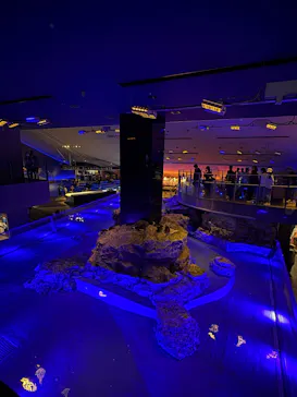 すみだ水族館に投稿された画像（2026/5/2）