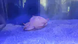 竹島水族館に投稿された画像（2026/5/2）