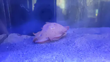 竹島水族館に投稿された画像（2026/5/2）