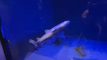竹島水族館に投稿された画像（2026/5/2）