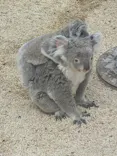 こども動物自然公園（埼玉県公園緑地協会）に投稿された画像（2026/5/2）