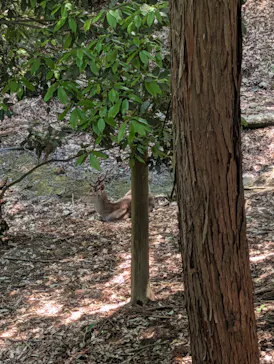 こども動物自然公園（埼玉県公園緑地協会）に投稿された画像（2026/5/2）