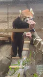 天王寺動物園に投稿された画像（2026/5/2）