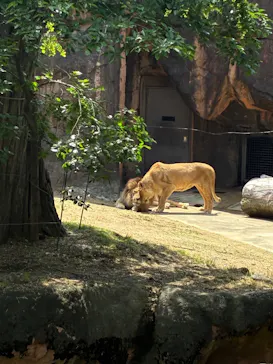 天王寺動物園に投稿された画像（2026/5/2）