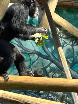 天王寺動物園に投稿された画像（2026/5/2）