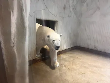 名古屋市東山動植物園に投稿された画像（2026/5/2）