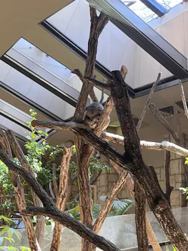 名古屋市東山動植物園に投稿された画像（2026/5/2）