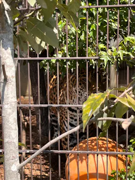 名古屋市東山動植物園に投稿された画像（2026/5/2）