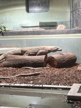 名古屋市東山動植物園に投稿された画像（2026/5/2）