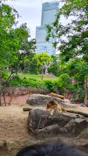 天王寺動物園に投稿された画像（2026/5/2）