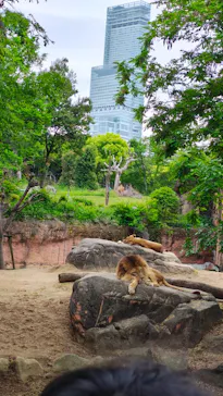 天王寺動物園に投稿された画像（2026/5/2）