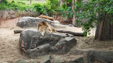 天王寺動物園に投稿された画像（2026/5/2）