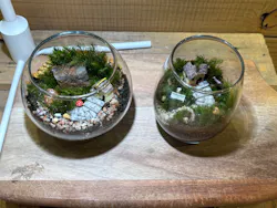 Terrariums メトロ・エム後楽園店に投稿された画像（2026/5/2）