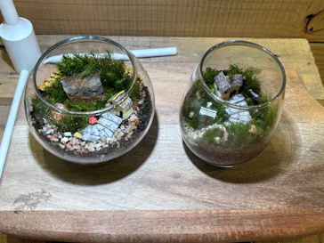 Terrariums メトロ・エム後楽園店に投稿された画像（2026/5/2）