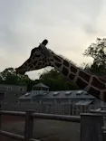 多摩動物公園に投稿された画像（2026/5/2）