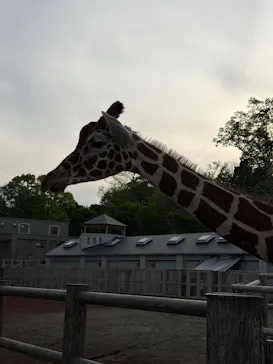 多摩動物公園に投稿された画像（2026/5/2）
