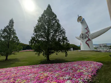 万博記念公園に投稿された画像（2026/5/2）