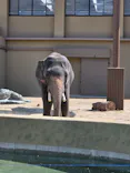 天王寺動物園に投稿された画像（2026/5/2）