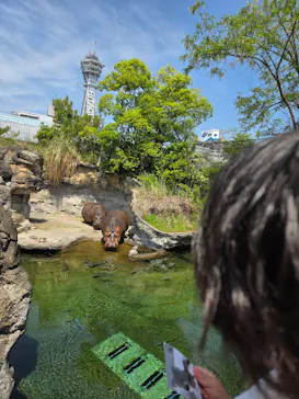 天王寺動物園に投稿された画像（2026/5/2）