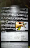 特別展「超危険生物展　科学で挑む生き物の本気」に投稿された画像（2026/5/2）