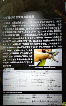 特別展「超危険生物展　科学で挑む生き物の本気」に投稿された画像（2026/5/2）