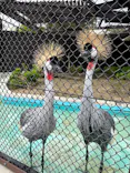 天王寺動物園に投稿された画像（2026/5/2）