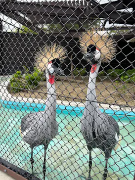 天王寺動物園に投稿された画像（2026/5/2）